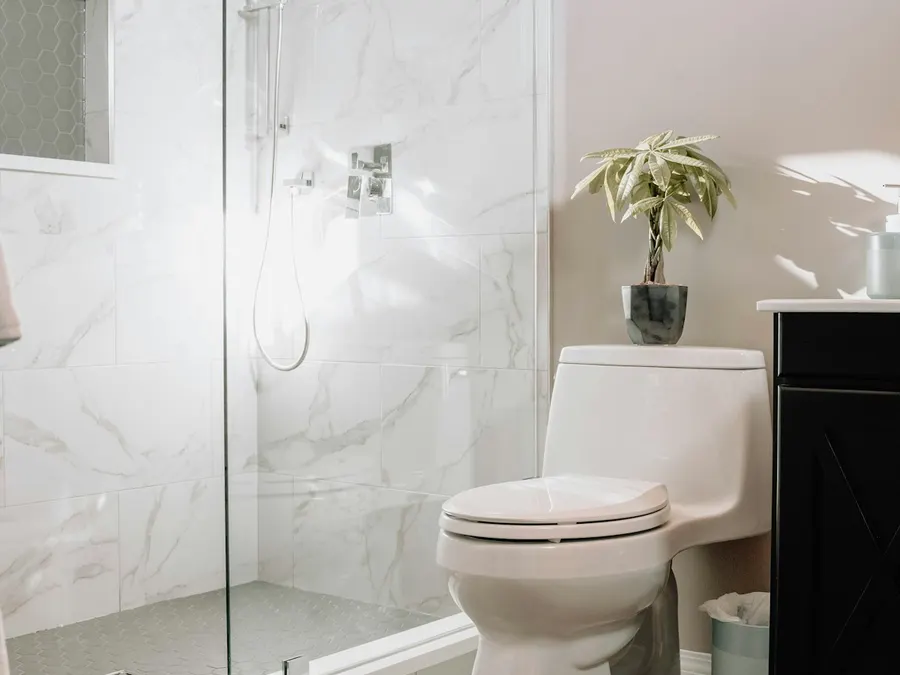 Frameless glass shower 10